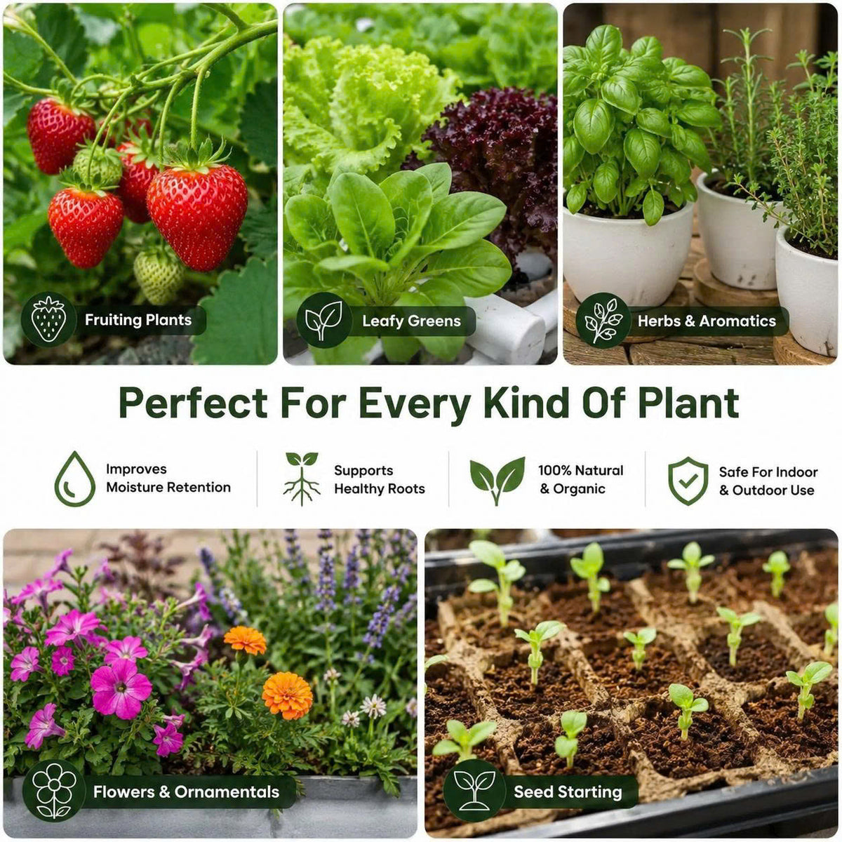 Premium Coco Coir Bricks for Plants
