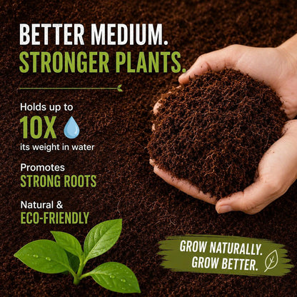 Premium Coco Coir Bricks for Plants