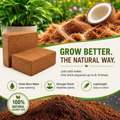 Premium Coco Coir Bricks for Plants