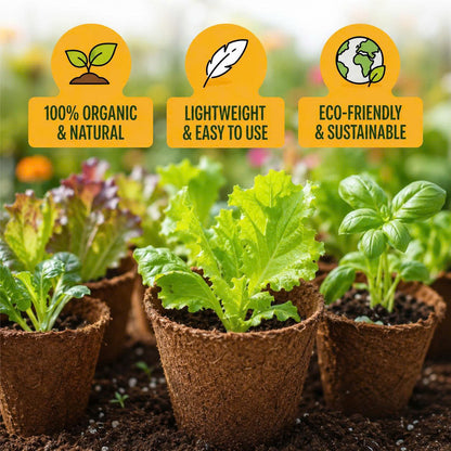 Premium Coco Coir Bricks for Plants