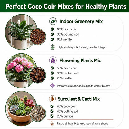 Premium Coco Coir Bricks for Plants