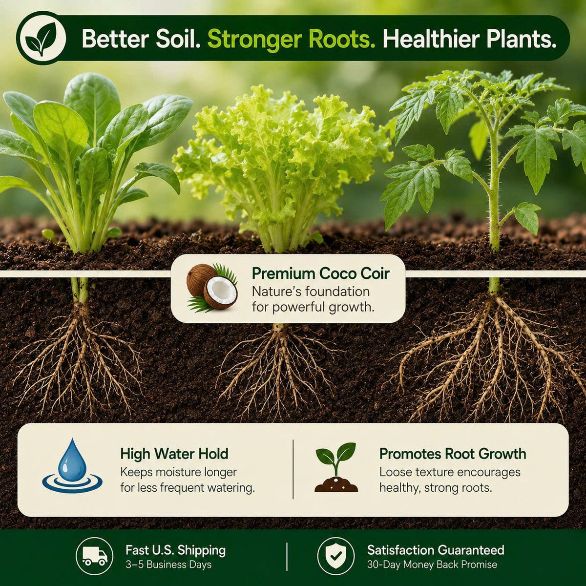 Premium Coco Coir Bricks for Plants
