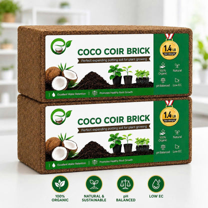 Premium Coco Coir Bricks for Plants