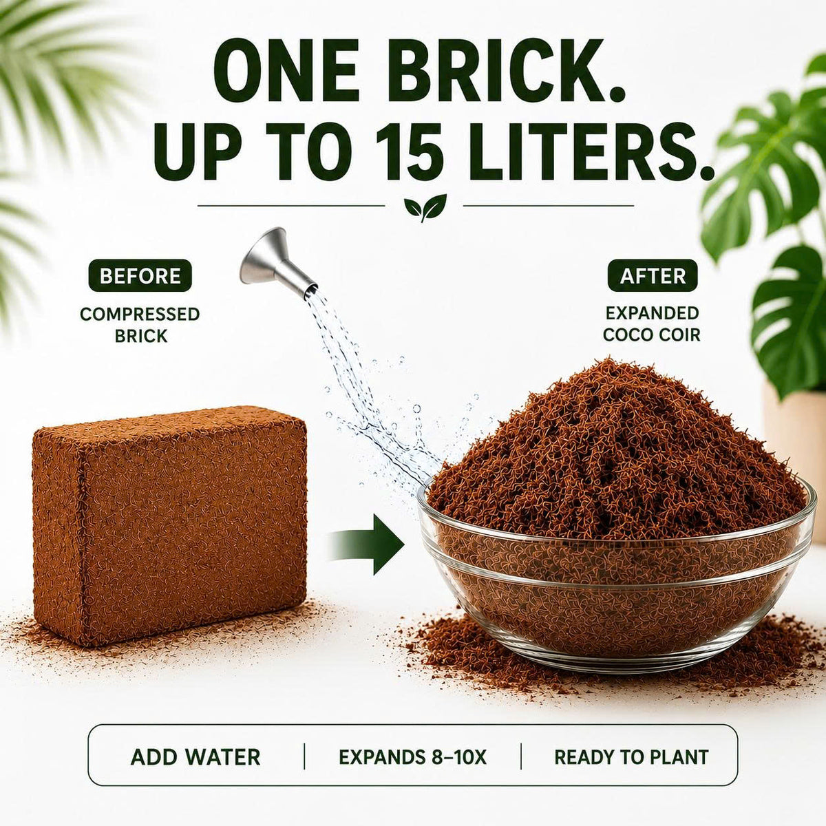 Premium Coco Coir Bricks for Plants